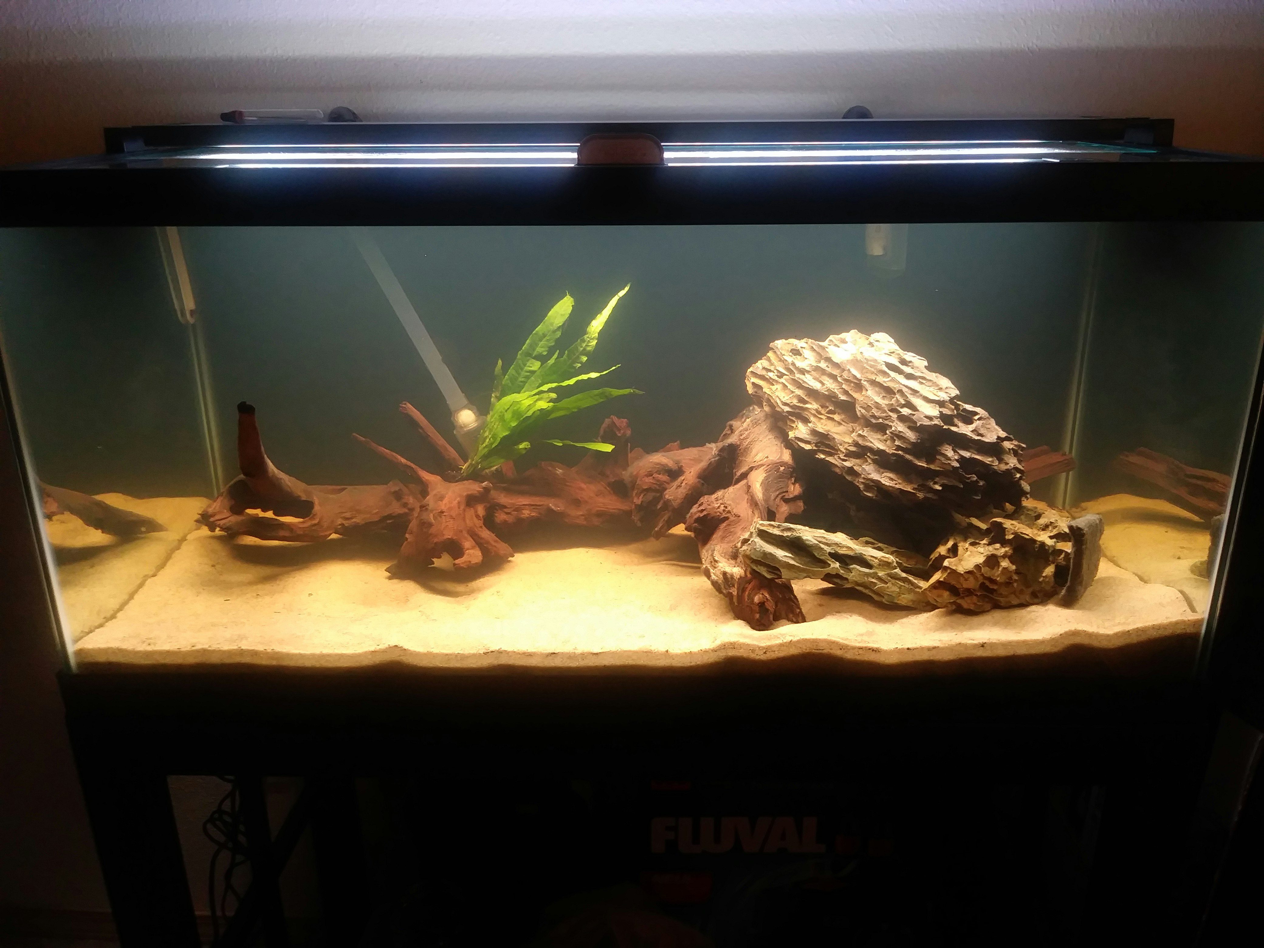 Fluval Plant 3.0 LED Light For Sale